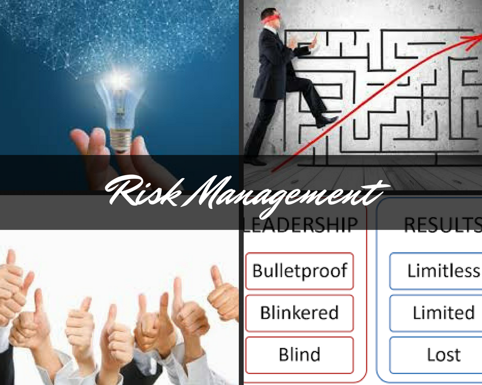 The Principles of Risk Management by Brock Kepert Medium