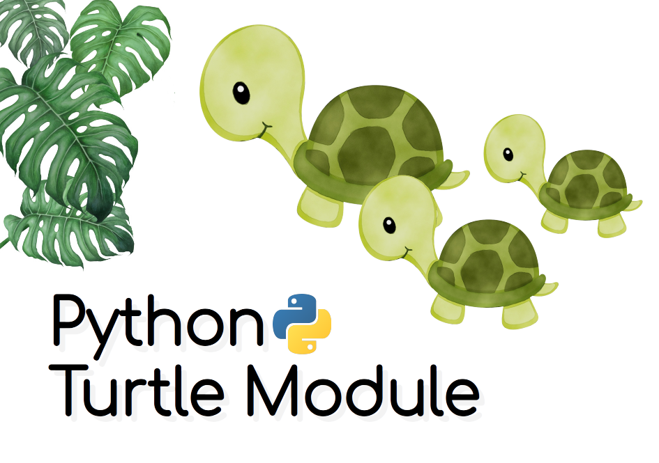 Animated random walks with Python | by Chit Tong Lio | Medium