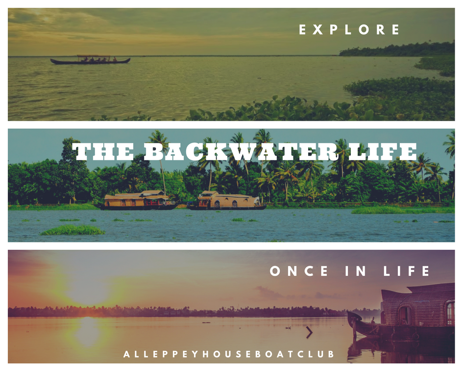 Fall in love with Alappuzha Backwaters