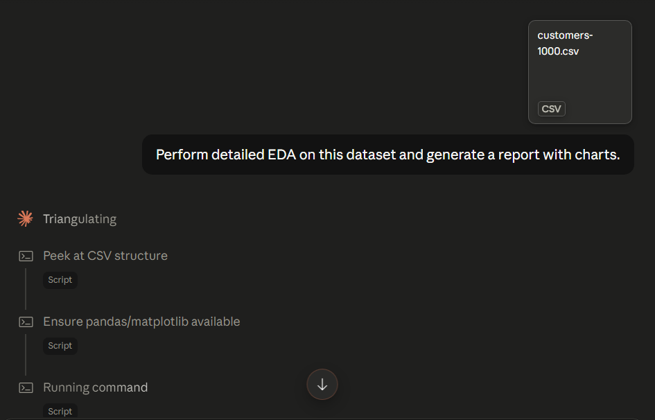 Claude running Python scripts to perform EDA