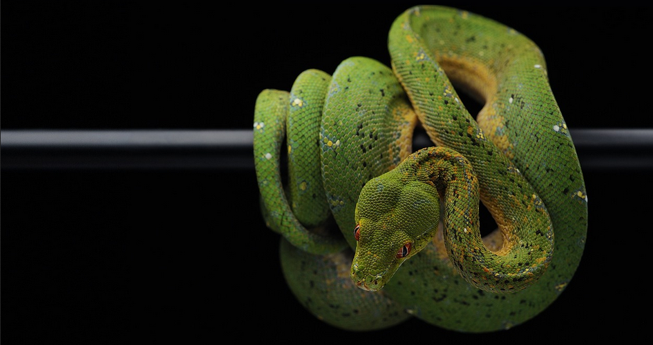 9 Examples Algorithms Using Python | by Uciha Madara | Medium