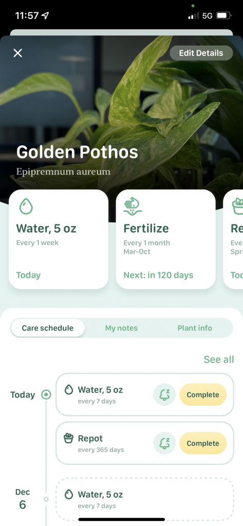 How Blossom App Used Behavioral Design to Become One of the Best Plant Care  Apps | by Keith Shields w/ Designli | Medium