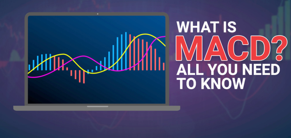 MACD Indicator: A Beginner’s Guide to Understanding Market Trends and Momentum