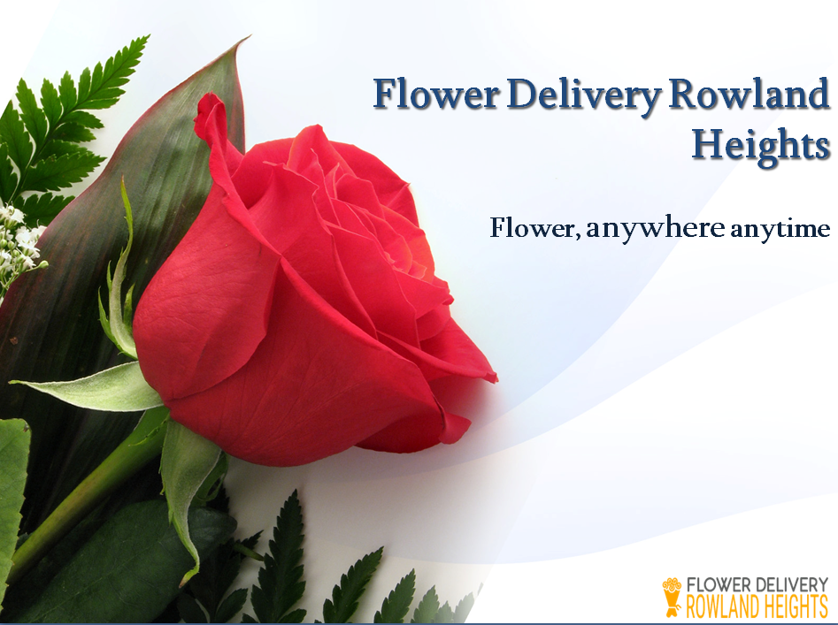 Rowland Heights Flower Delivery. In this presentation we briefly… by