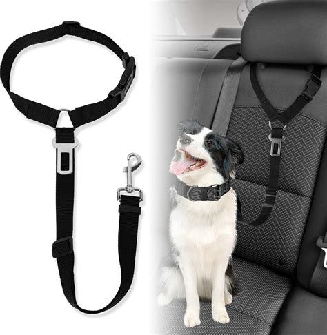 Importance of Seatbelt Attachments for Pets: Safety You Can Trust