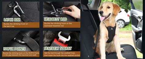 How to Install Pet Seat Belts in Cars: Easy Steps for Safety