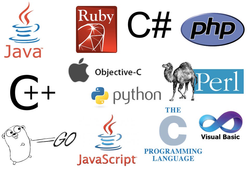 Why Developers Argue On Best Programming Language In The World? | by ...