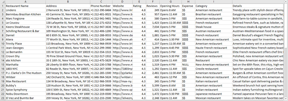 Uncharted Depths: Navigating Google Maps Data Scraping using Python ...