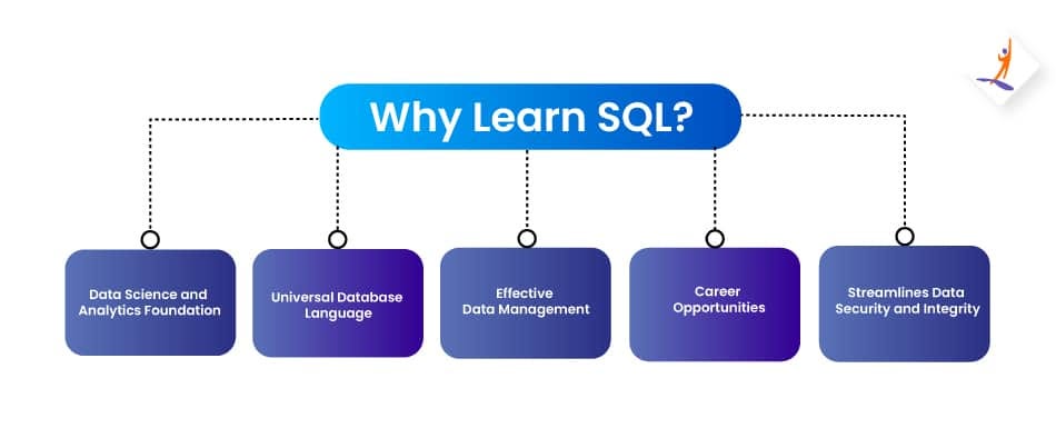 Learn SQL with Real Examples: A Beginner’s Guide to Databases, Queries ...