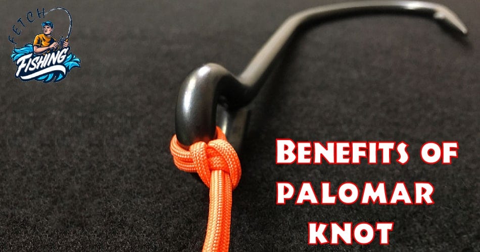 How to Tie a Palomar Knot — Step-By-Step Guide, by Fishingfetch