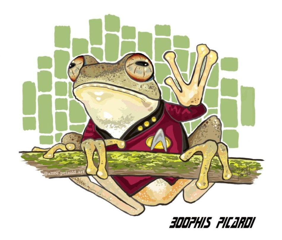 Esta perereca se chama Boophis picardi em homenagem ao capitão de Star Trek (Créditos: Mark D. Scherz/University of Copenhagen)