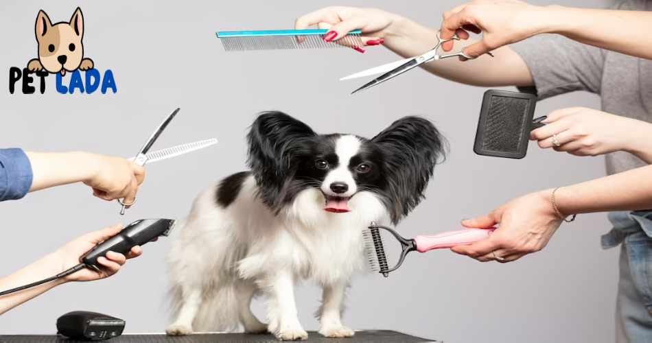 How to Nail Trimming for Dogs: Step-By-Step Guide for Dogs | by Petlada ...