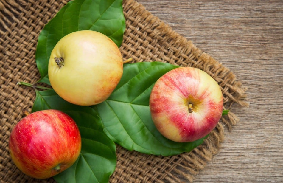 Apple juice for acid reflux Does It Really Work? by