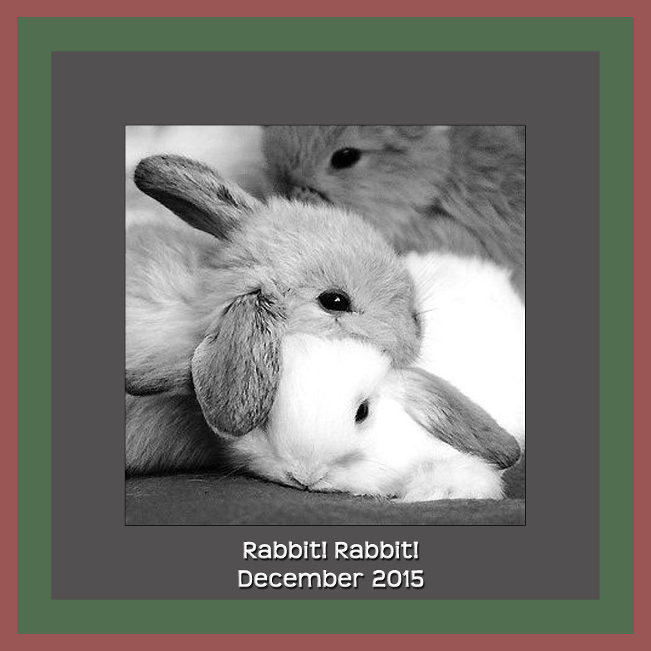 Rabbit! Rabbit! | by Angelique | Medium