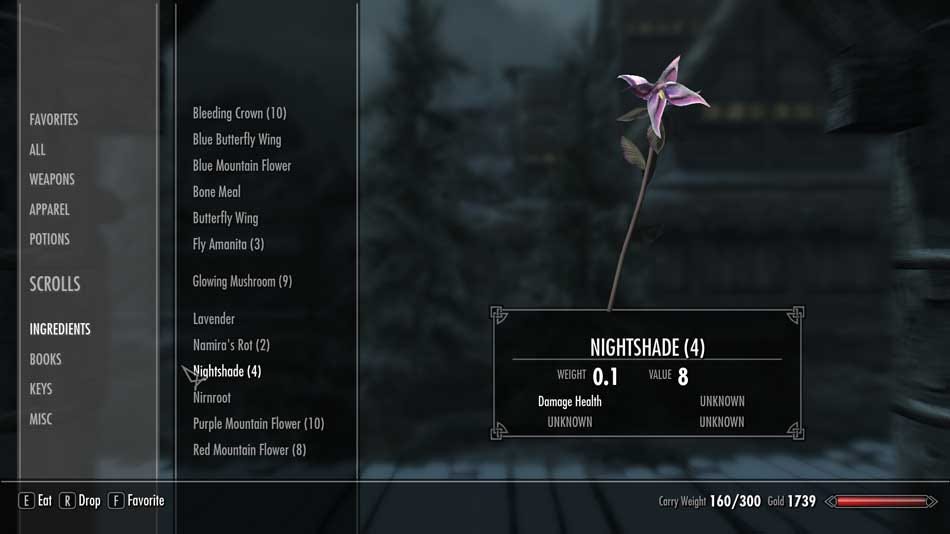 Why Skyrim’s Inventory Deserves More Love by EJ Kilen Medium