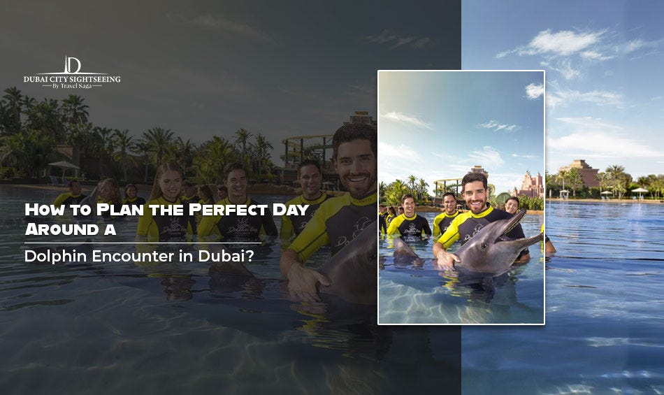 How to Plan the Perfect Day Around a Dolphin Encounter in Dubai