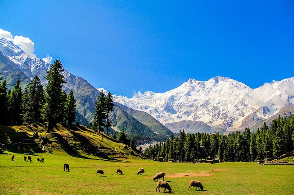 Hidden Gems in Kaghan Valley for Nature Enthusiasts