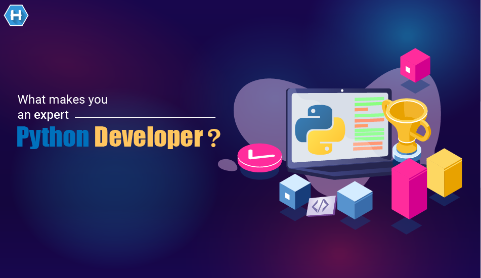 What makes you an expert Python developer? | by HabileLabs | Minds ...