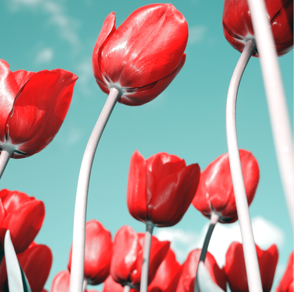 Playing to your natural strengths to succeed by Gatehouse Legal