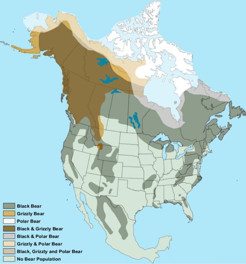 Maps of where bears live in North America by Vivid Maps Medium