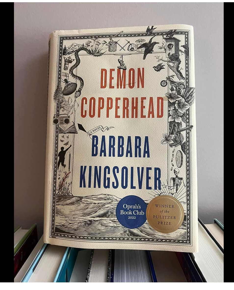 The Narrative and Themes in Demon Copperhead by Barbara Kingsolver | Medium