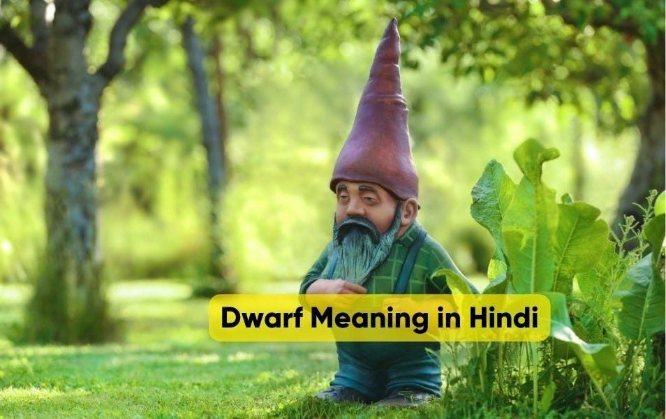DWARF KA MATLAB HINDI MEIN EK VISTAR SE VICHAR By Hinglish Pedia dwarf-ka-matlab-hindi-mein-ek-vistar-se-vichar-by-hinglish-pedia