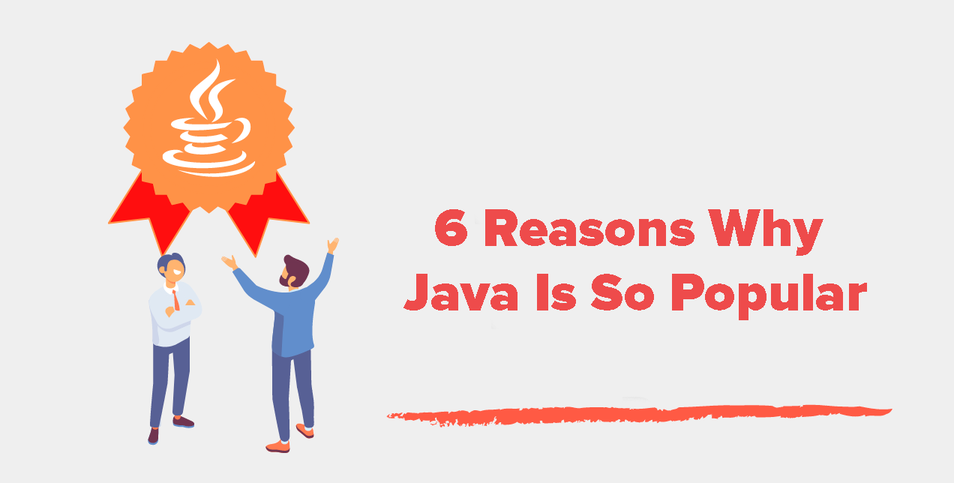 Top 6 Reasons Why Java Is So Popular With Developers in 2023 | by ...
