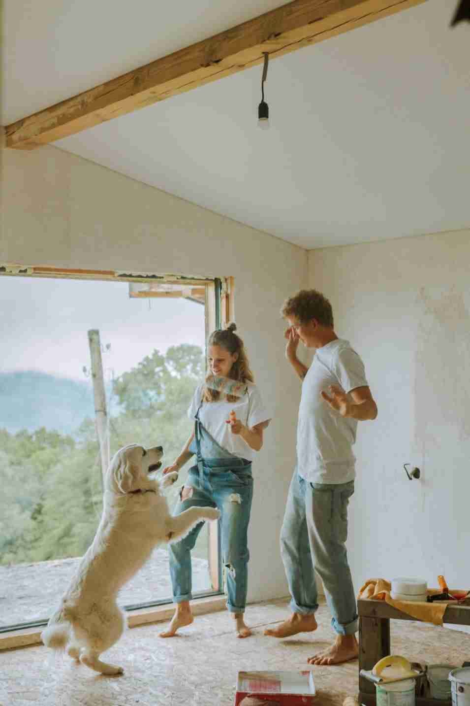 How To House Train A Dog? [6 Effective Steps] by Usman farooqi Medium