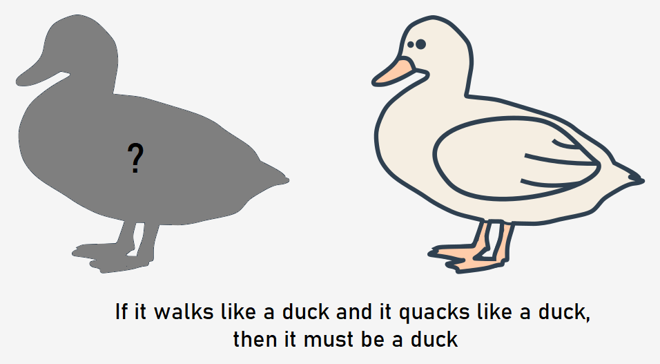 Embracing Flexibility: Duck Typing in Ruby on Rails