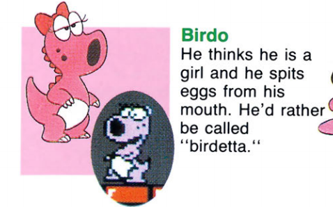 Nintendo’s “Birdo” is NOT a Trans Icon | by Alex Mell-Taylor | Medium