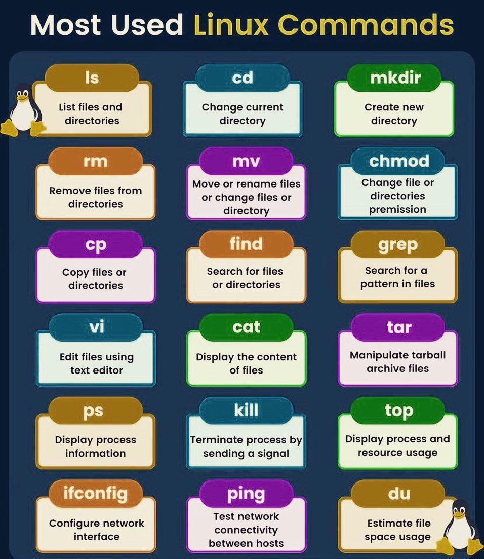 Managing Files from the Command Line by Shalin Patel Medium