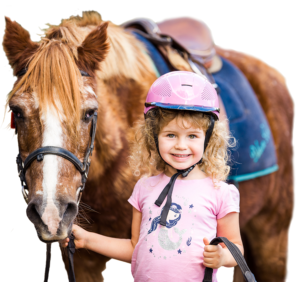 Gold Coast Equestrian Centre l Equestrian Centre