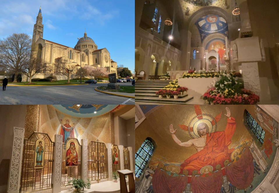 Cathedral of Saint Paul and the Shrine of the Nations Guide