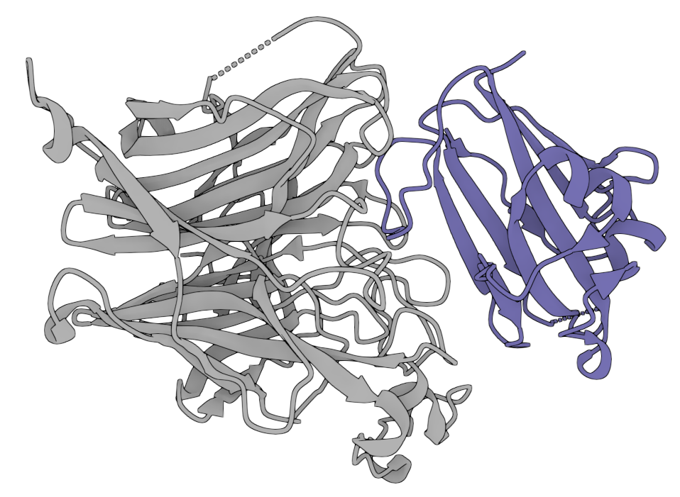 PDB: 2VSM