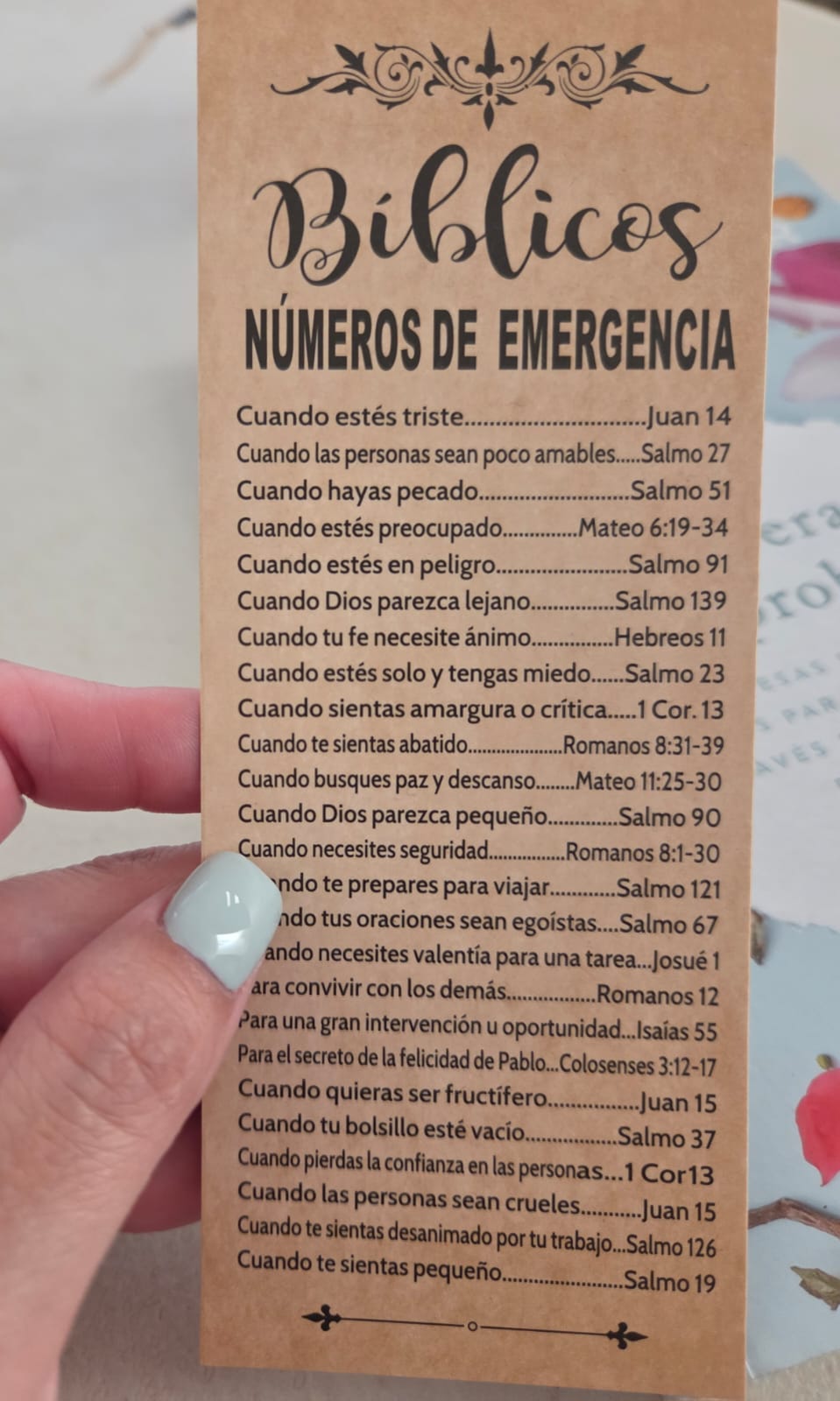 El por qué.. traducido