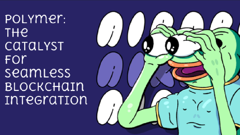 Polymer The Catalyst for Seamless Blockchain Integration by