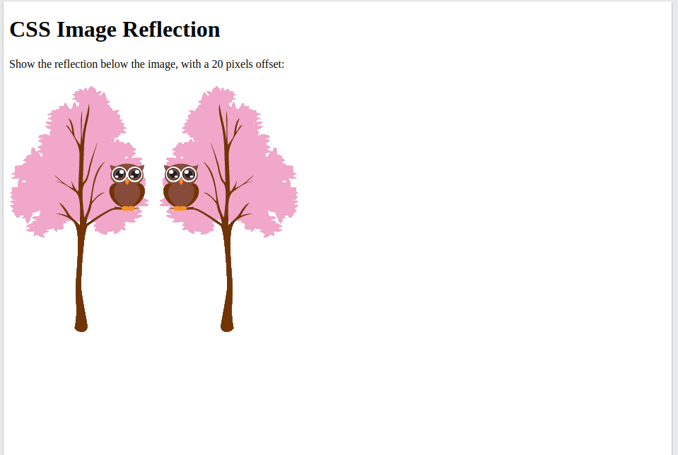CSS Image Reflections: Adding a Touch of Glamour to Your Visuals | by ...