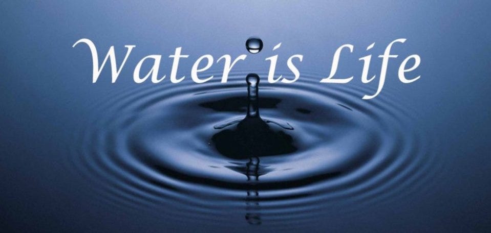 water essential life? | Mehul Gala | Medium