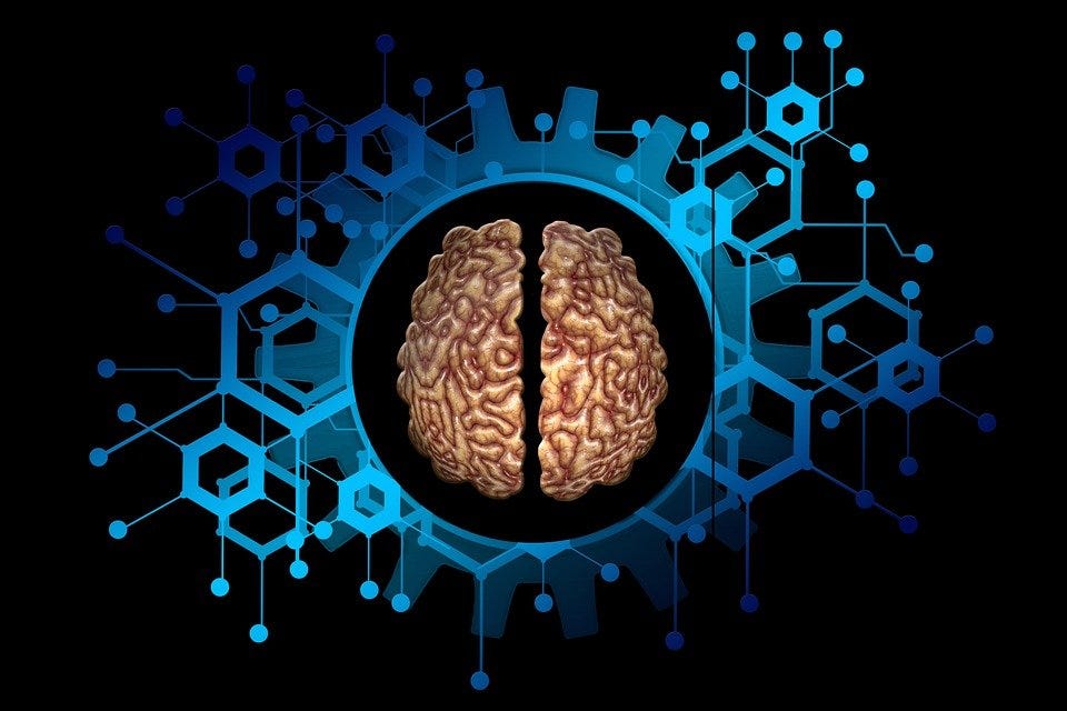 Coffee And Brain Connectivity. Habitual Coffee Drinking Is Reflected ...