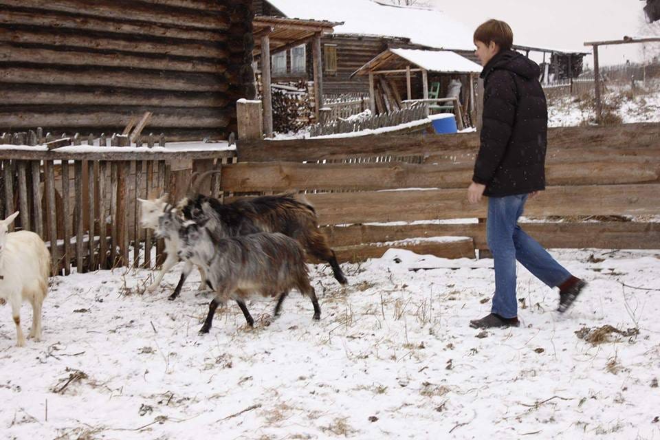 Goat where we got fresh milk