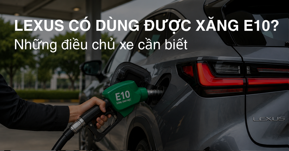 Xe Lexus có sử dụng được xăng E10 không? Những điều chủ xe cần biết