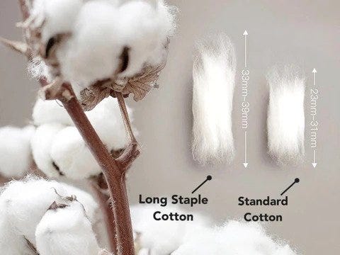 What is a Long Staple Cotton: Definition and Features – Hush