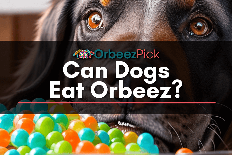 Can Dogs Eat Orbeez? [Update News 2023] by OrbeezPick Medium