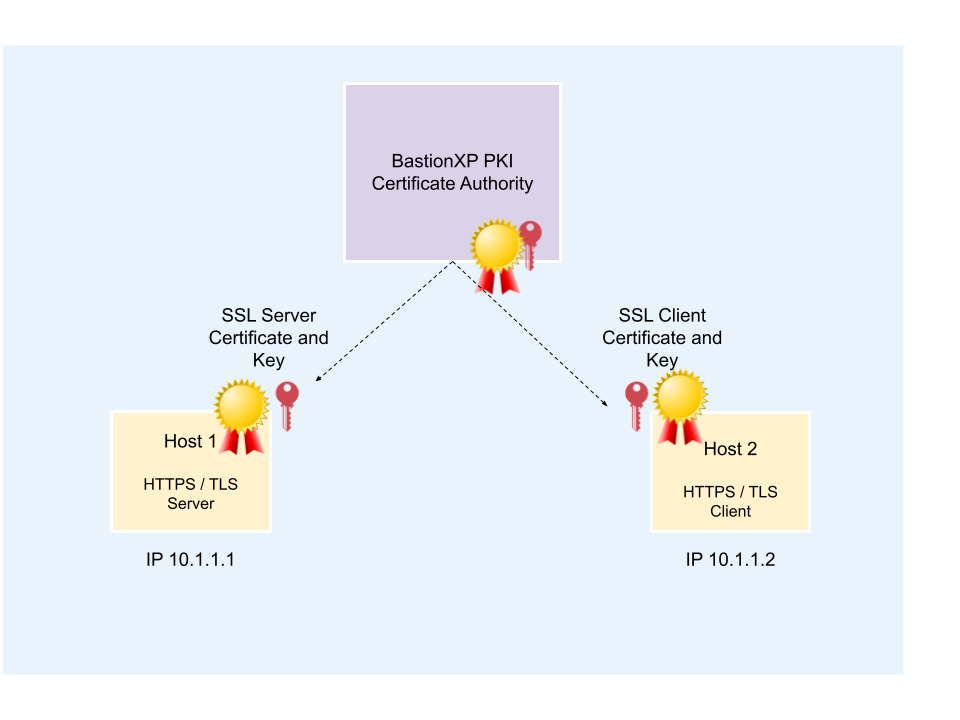 How to create self-signed SSL TLS X.509 certificates using BastionXP ...