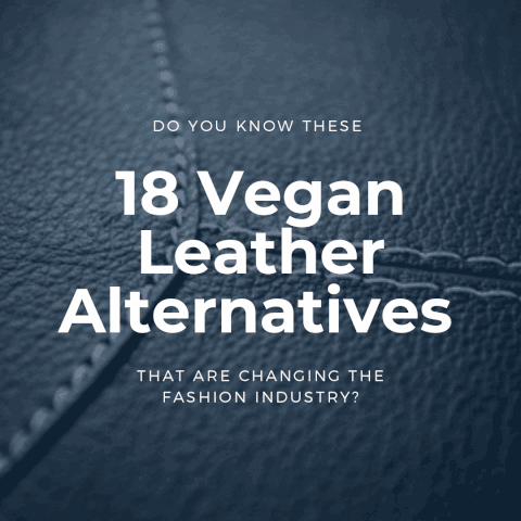 Do You Know These 18 Vegan Leathers That Are Changing the industry? | by  ALIVE – The Vegan Boutique | Medium