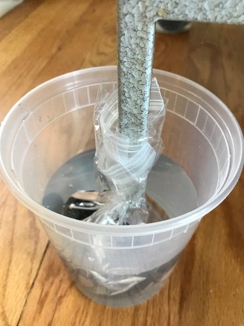 How to Keep Ants Away from Bird Cage: Simple Effective Tips