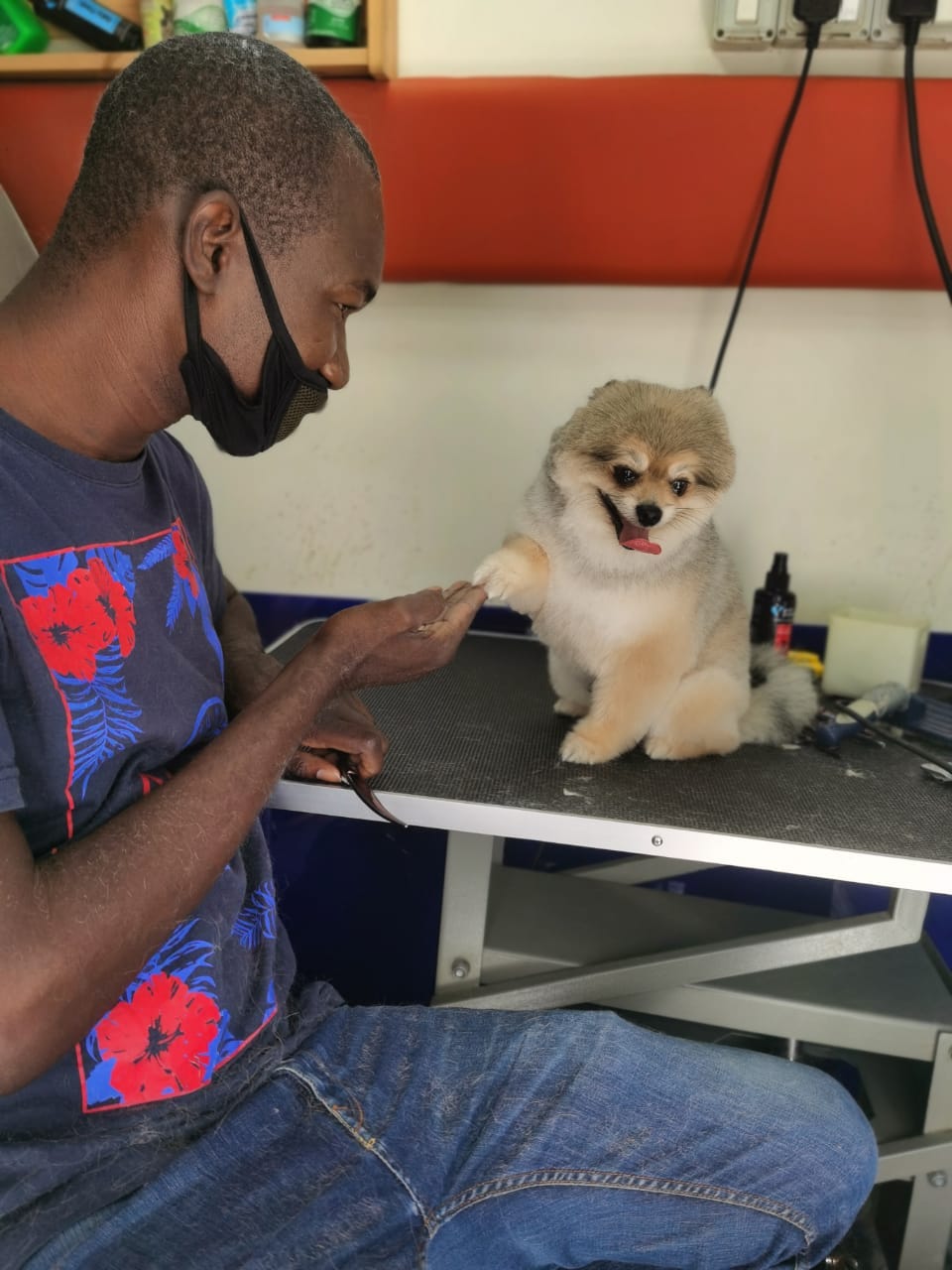 Exploring the Best Pets Shops in Abu Dhabi by Areejcrazypets Nov