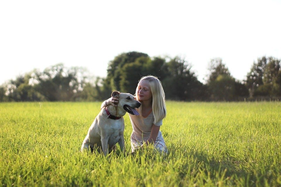 Top 10 Mindfulness Books to Transform Your Life by HealthMogul Jul