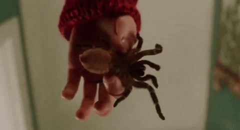 System Of A Down - Spiders on Make a GIF