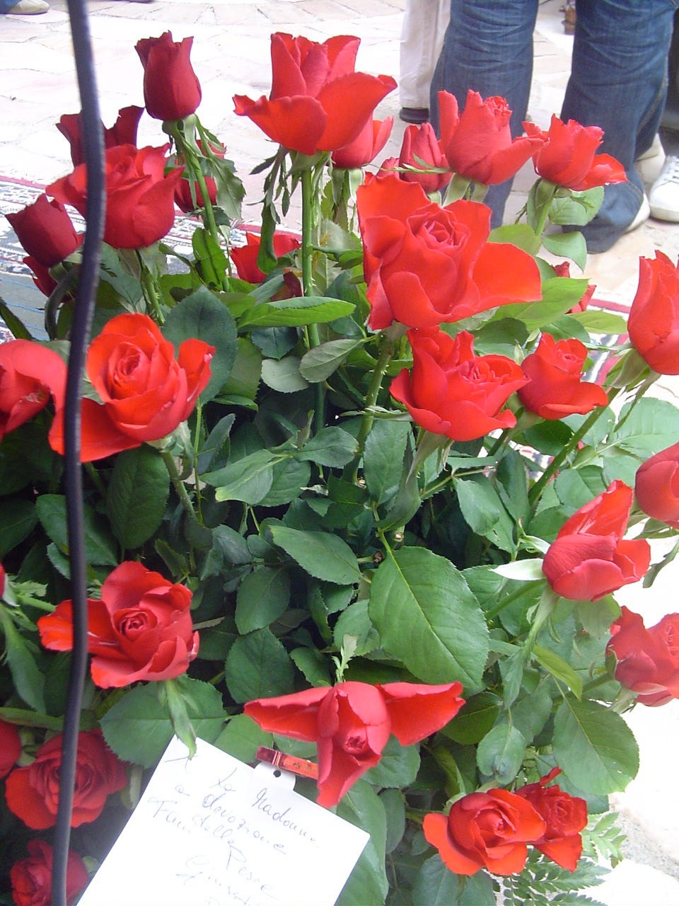 Rose rosse per te…